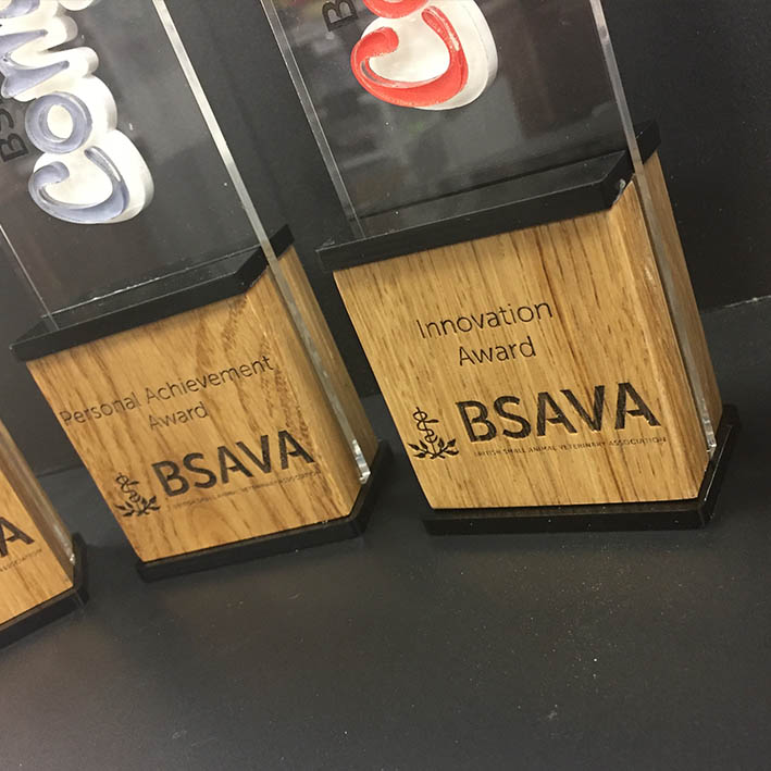 Laser Engraving of Oak Awards